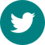 social-icon